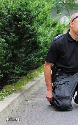 Pies Maniek pomógł w poszukiwaniach zaginionego mężczyzny